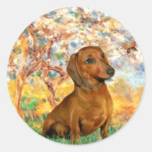 Dachshund (brown1) - Spring - Customized Stickers