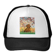 Dachshund (brown1) - Spring Mesh Hats