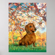 Dachshund (brown1) - Spring Posters