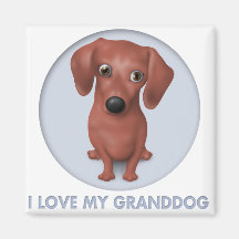 Dachshund (Brown) Granddog Refrigerator Magnets