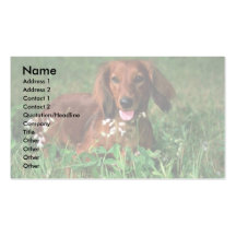 Dachshund Business Card Templates