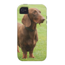 Dachshund Case-Mate iPhone 4 Covers