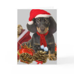 Dachshund christmas and ornaments