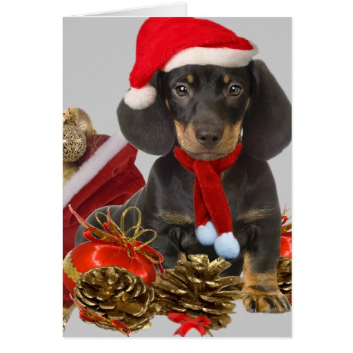 Dachshund christmas and ornaments greeting card