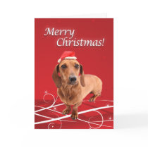 Dachshund Christmas Card
