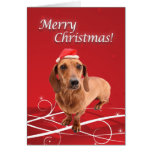Dachshund Christmas Card