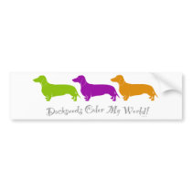 Dachshund Colour My World