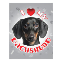 Dachshund Custom Letterhead