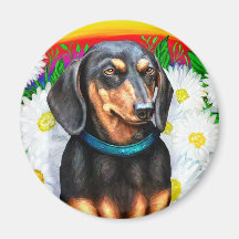 Dachshund Daisy Patch B&T Fridge Magnets