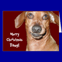 Dachshund Dawg Christmas Card cards