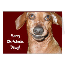 Dachshund Dawg Christmas Card