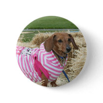 Dachshund dog buttons
