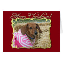 Dachshund dog greeting card