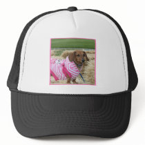 Dachshund dog mesh hat