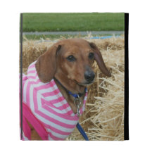 Dachshund dog iPad case