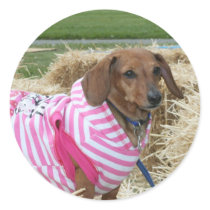 Dachshund dog sticker