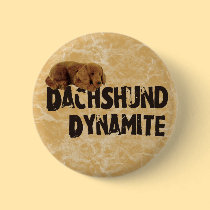Dachshund Dynamite buttons