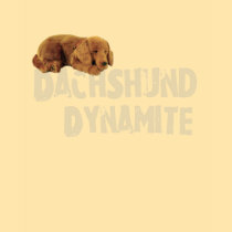 Dachshund Dynamite t-shirts