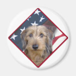 Dachshund Flag 2 Fridge Magnet