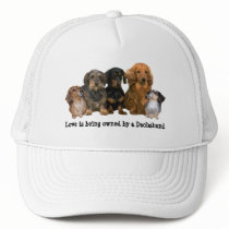 Dachshund Gang Hat