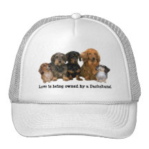 Dachshund Gang Hat