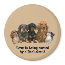 Dachshund Gang Magnet