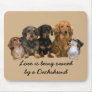 Dachshund Gang Mousepad