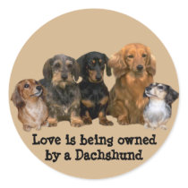 Dachshund Gang Sticker