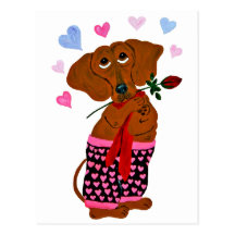 Dachshund In Pink Heart Shorts Postcards