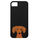 Dachshund iPhone 5 Cases