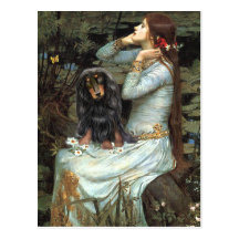 Dachshund (LH-BT) - Ophelia 2 Postcard