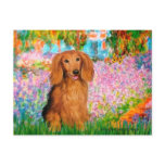Dachshund (LHSable) - Garden Post Cards