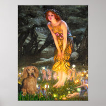 Dachshund (LHSable) - MidEve Poster