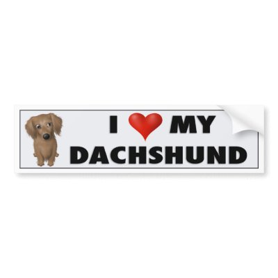 Dachshund (Long-Hair) Love Sticker Bumper Sticker by cartoondogs
