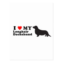 Dachshund Longhair Postcard