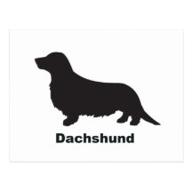 Dachshund Longhair Postcard