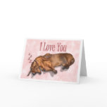 Dachshund Love