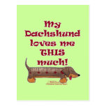 Dachshund Love Postcard