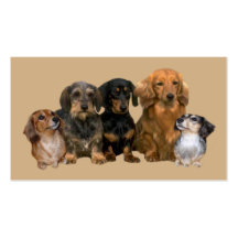 Dachshund Lover Business Card