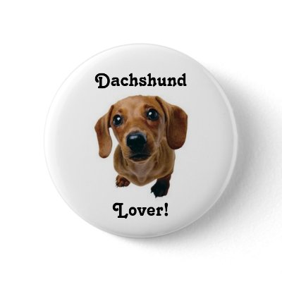 Dachshund Lover! by kokobaby