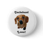 Dachshund Lover! buttons