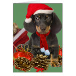 Dachshund Loves Christmas Ornaments Card