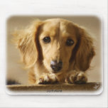 Dachshund Mouse Mat