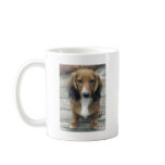Dachshund Coffee Mugs