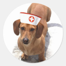 Dachshund nurse stickers