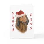 Dachshund Paws - Longhair Card