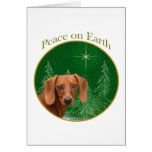 Dachshund Peace on Earth Cards