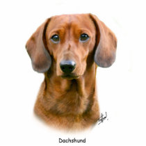 Dachshund Cut Out