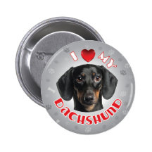 Dachshund Pinback Buttons