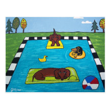 Dachshund Pool Party Postcards